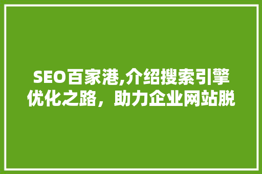 SEO百家港,介绍搜索引擎优化之路，助力企业网站脱颖而出