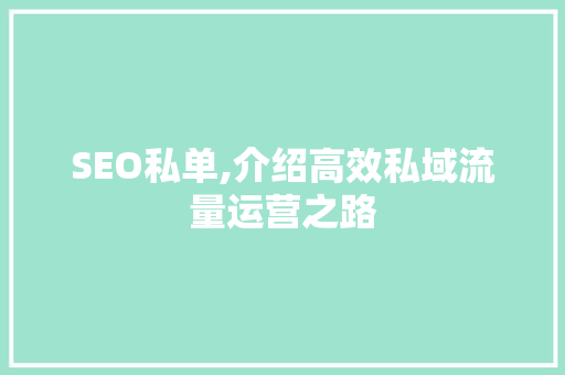 SEO私单,介绍高效私域流量运营之路