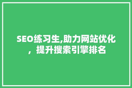 SEO练习生,助力网站优化，提升搜索引擎排名