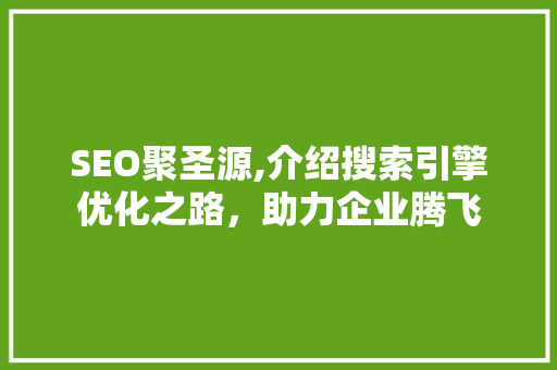 SEO聚圣源,介绍搜索引擎优化之路，助力企业腾飞