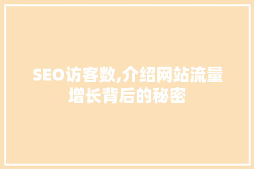 SEO访客数,介绍网站流量增长背后的秘密