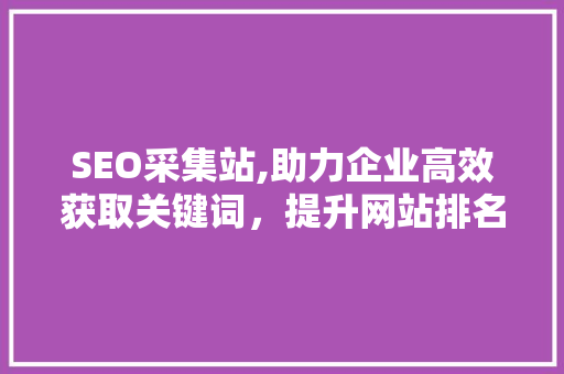 SEO采集站,助力企业高效获取关键词，提升网站排名