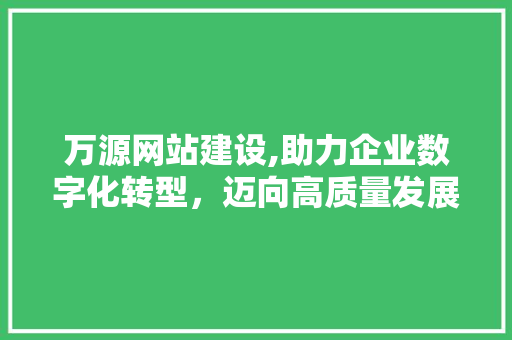 万源网站建设,助力企业数字化转型，迈向高质量发展