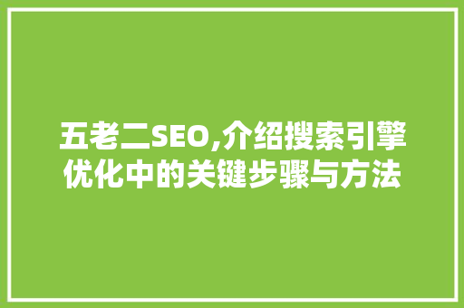 五老二SEO,介绍搜索引擎优化中的关键步骤与方法