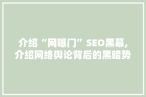 介绍“网曝门”SEO黑幕,介绍网络舆论背后的黑暗势力