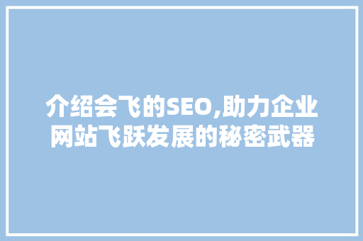 介绍会飞的SEO,助力企业网站飞跃发展的秘密武器