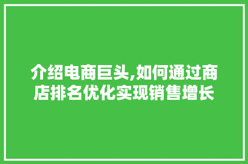 介绍电商巨头,如何通过商店排名优化实现销售增长