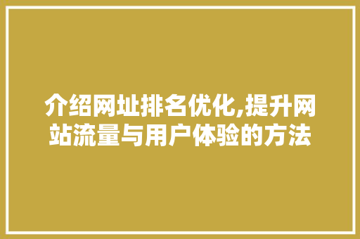 介绍网址排名优化,提升网站流量与用户体验的方法