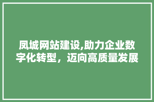 凤城网站建设,助力企业数字化转型，迈向高质量发展