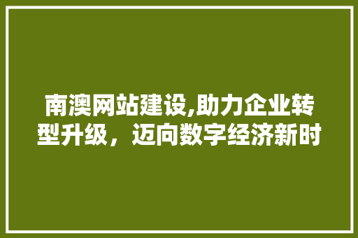南澳网站建设,助力企业转型升级，迈向数字经济新时代