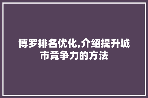 博罗排名优化,介绍提升城市竞争力的方法