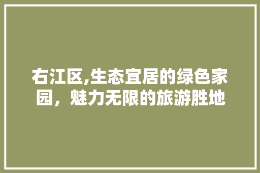 右江区,生态宜居的绿色家园，魅力无限的旅游胜地