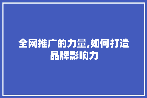 全网推广的力量,如何打造品牌影响力