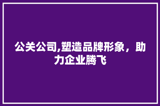 公关公司,塑造品牌形象，助力企业腾飞