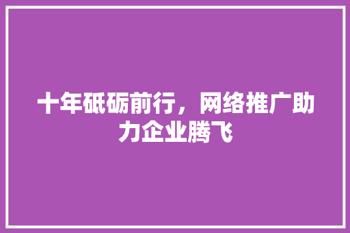 十年砥砺前行，网络推广助力企业腾飞