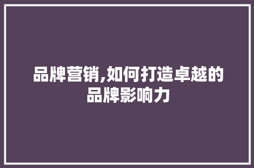 品牌营销,如何打造卓越的品牌影响力