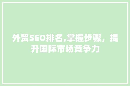 外贸SEO排名,掌握步骤，提升国际市场竞争力