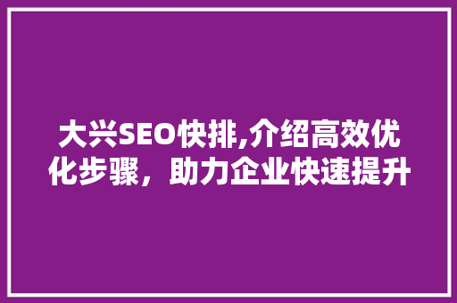 大兴SEO快排,介绍高效优化步骤，助力企业快速提升网站排名
