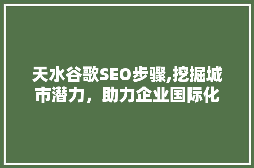 天水谷歌SEO步骤,挖掘城市潜力，助力企业国际化