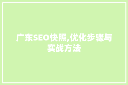 广东SEO快照,优化步骤与实战方法