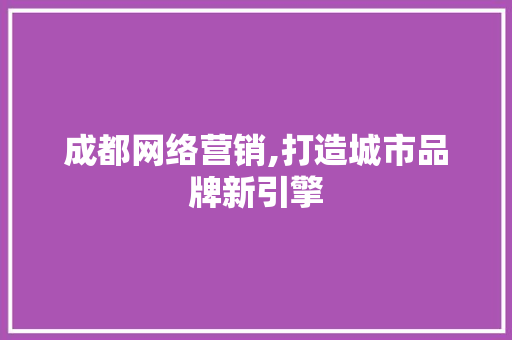 成都网络营销,打造城市品牌新引擎
