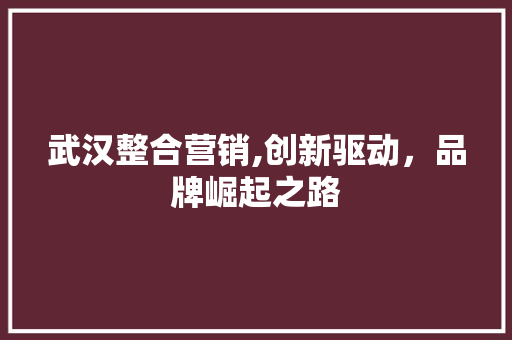 武汉整合营销,创新驱动，品牌崛起之路