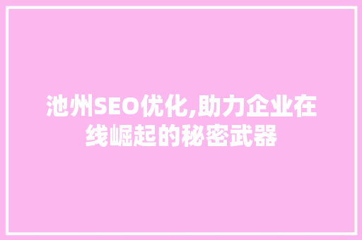 池州SEO优化,助力企业在线崛起的秘密武器