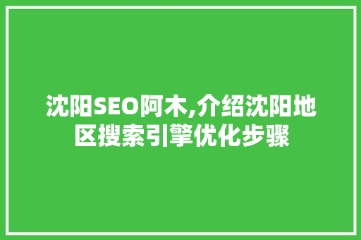 沈阳SEO阿木,介绍沈阳地区搜索引擎优化步骤