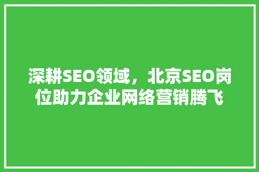 深耕SEO领域，北京SEO岗位助力企业网络营销腾飞