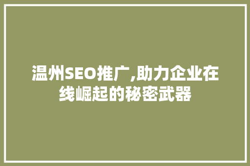温州SEO推广,助力企业在线崛起的秘密武器