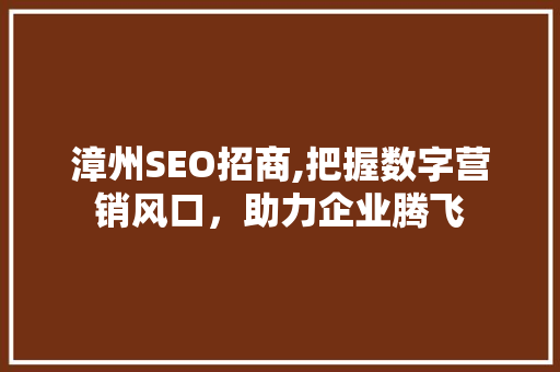 漳州SEO招商,把握数字营销风口，助力企业腾飞