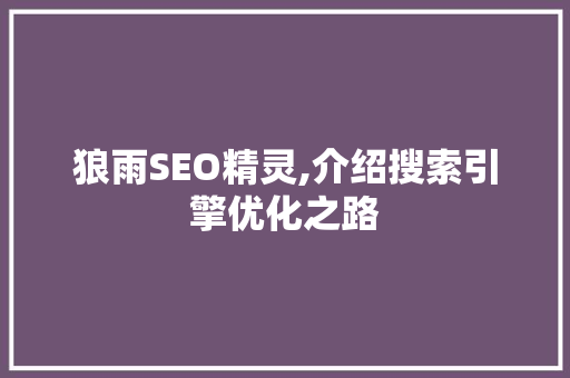 狼雨SEO精灵,介绍搜索引擎优化之路