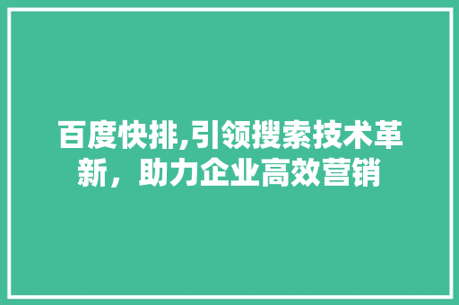 百度快排,引领搜索技术革新，助力企业高效营销