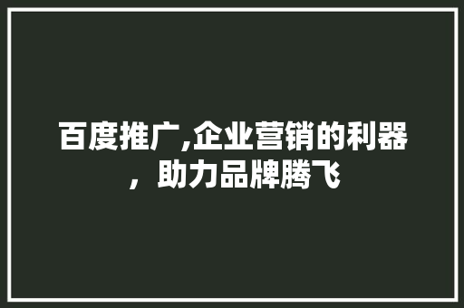 百度推广,企业营销的利器，助力品牌腾飞