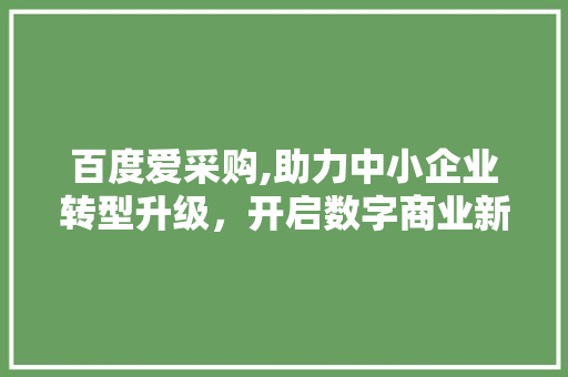 百度爱采购,助力中小企业转型升级，开启数字商业新篇章