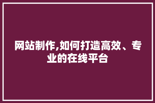 网站制作,如何打造高效、专业的在线平台