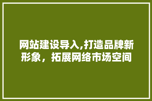 网站建设导入,打造品牌新形象，拓展网络市场空间