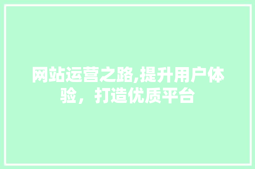 网站运营之路,提升用户体验，打造优质平台