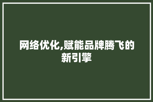 网络优化,赋能品牌腾飞的新引擎