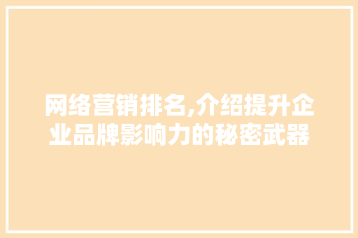 网络营销排名,介绍提升企业品牌影响力的秘密武器