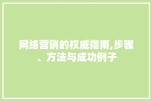 网络营销的权威指南,步骤、方法与成功例子