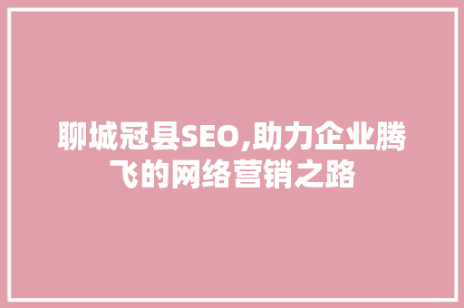 聊城冠县SEO,助力企业腾飞的网络营销之路