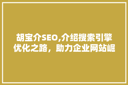 胡宝介SEO,介绍搜索引擎优化之路，助力企业网站崛起