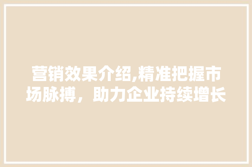 营销效果介绍,精准把握市场脉搏，助力企业持续增长