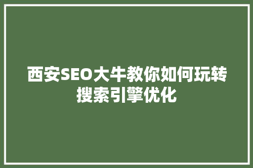 西安SEO大牛教你如何玩转搜索引擎优化