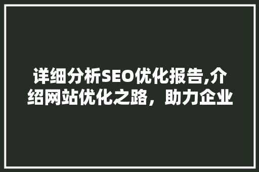详细分析SEO优化报告,介绍网站优化之路，助力企业提升流量与转化率