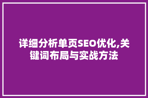 详细分析单页SEO优化,关键词布局与实战方法