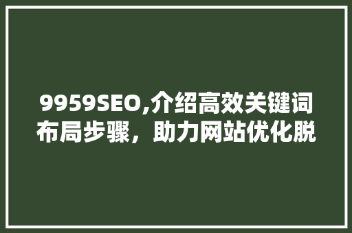 9959SEO,介绍高效关键词布局步骤，助力网站优化脱颖而出