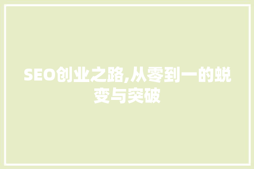 SEO创业之路,从零到一的蜕变与突破