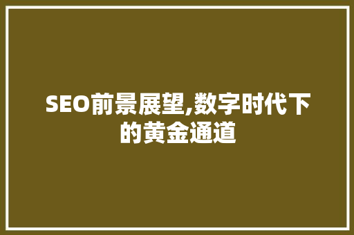 SEO前景展望,数字时代下的黄金通道